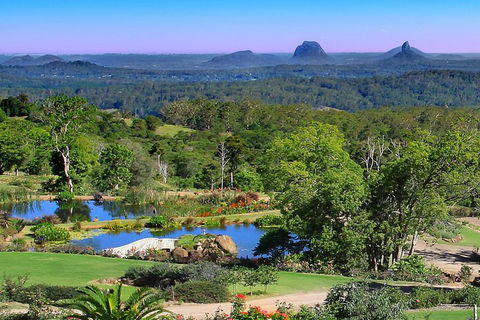 Sunshine Coast Hinterland Rainforest, Views And Montville Day Tour Inc. Lunch - Australia Accommodation 5