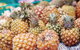 Sunshine Coast Eumundi Markets Return Minibus Transfer - thumb 0