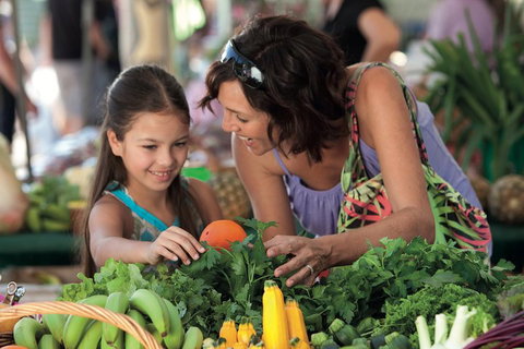 Sunshine Coast Eumundi Markets Return Minibus Transfer - Australia Accommodation 4
