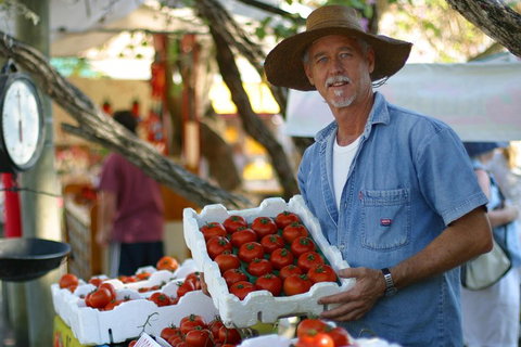 Sunshine Coast Eumundi Markets Return Minibus Transfer - Australia Accommodation 5