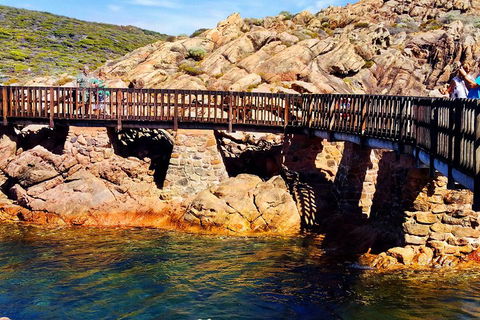 Margaret River (Private) Day Tour - Australia Accommodation 3