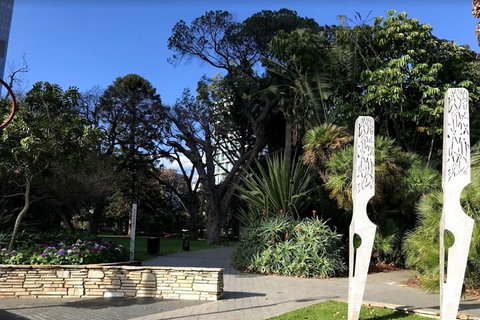Perth Scavenger Hunt: Perched On A Swan - Australia Accommodation 2