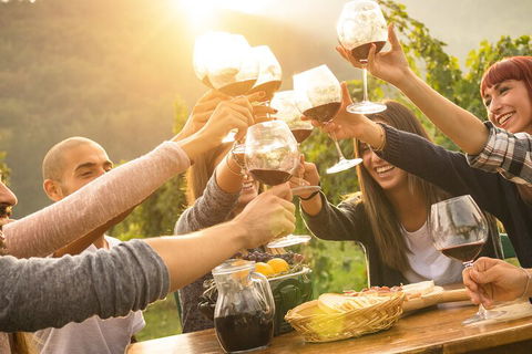 Yarra Valley, Dandenong Ranges Inc. Lunch With Wine,plus Morning Tea,chocolate - Australia Accommodation 4