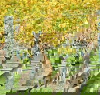 Margaret River Indulge and Discover Day Tour - Australia Accommodation