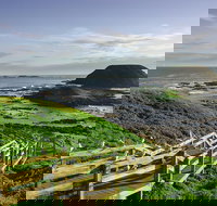 Full-Day Private Australian Wildlife Tour of Phillip Island - Australia Accommodation