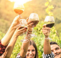Adelaide Hills Day Tour. Winery Cellar Doors - Australia Accommodation