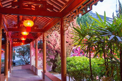 Chinese Garden General Admission Ticket - Australia Accommodation 4