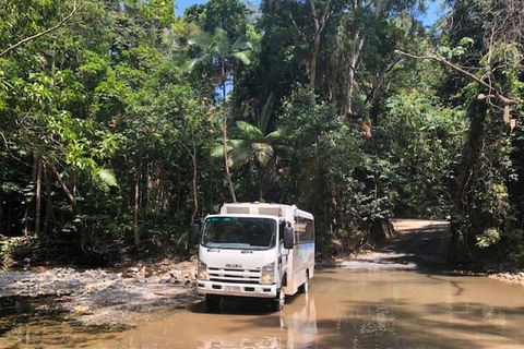 Cairns To Cooktown 4WD Tour - Australia Accommodation 5
