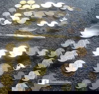 Melbourne Treasure Hunt - Australia Accommodation