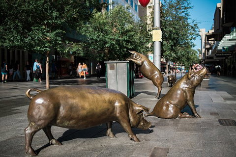 Guided Walking Tour In Adelaide - Australia Accommodation 4
