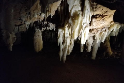 The Pinnacle Adventure Tour - Australia Accommodation 0