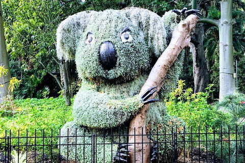 Discover Sydney - Botanic - Australia Accommodation 1