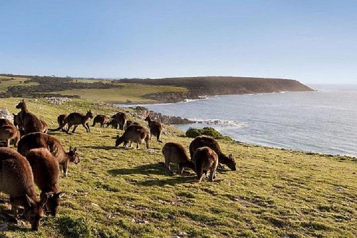  Australia Accommodation