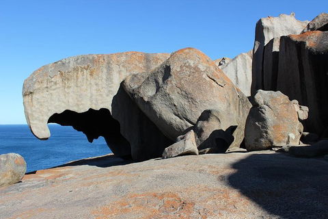 Kangaroo Island Personal Group Tours - Australia Accommodation 2
