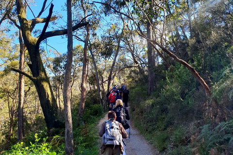 Self-Guided Waterfall Gully To Mount Lofty Hike From Adelaide - Australia Accommodation 1