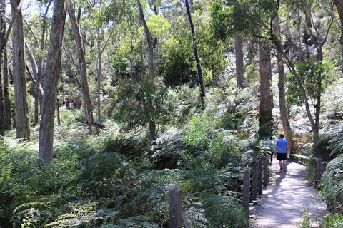 Self-Guided Waterfall Gully To Mount Lofty Hike From Adelaide - Australia Accommodation 2