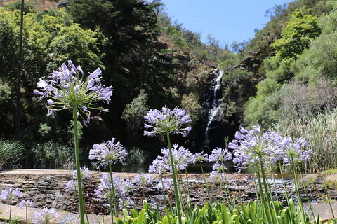 Self-Guided Waterfall Gully To Mount Lofty Hike From Adelaide - Australia Accommodation 3