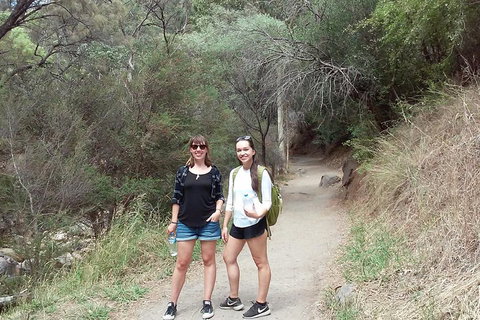 Self-Guided Waterfall Gully To Mount Lofty Hike From Adelaide - Australia Accommodation 4