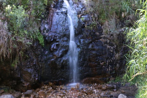 Self-Guided Waterfall Gully To Mount Lofty Hike From Adelaide - Australia Accommodation 5