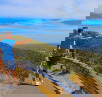 Private Tour Mornington Peninsula Family Maze and Fun - Australia Accommodation