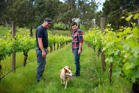 LGBT+ Friendly Full Day Yarra Valley & Dandenong Ranges Private Tour - Australia Accommodation 4