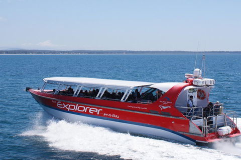 Whale Watching Jervis Bay - Australia Accommodation 1