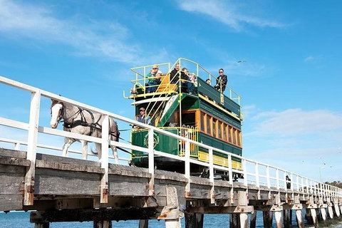 6 Days Adelaide All-Inclusive Touring Package - Australia Accommodation 2