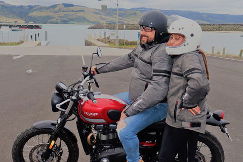Triumph Street Scrambler 900cc - Australia Accommodation 1