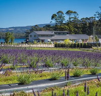 Private Hobart Discover South East Food and Scenic Tour - Australia Accommodation