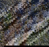 Leven Canyon Day Trip Including Wings Wildlife Park or Gunns Plains Caves - Australia Accommodation