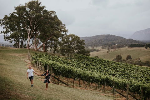 Luxury Blue Mountains Tour With Aussie BBQ Lunch And Wine Tasting - Australia Accommodation 3