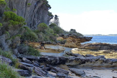 Day Trip To Cronulla & The Royal National Park - Australia Accommodation 4