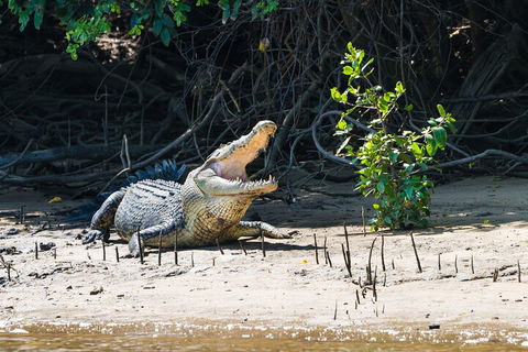 Full Day Cooktown Private Tour - Australia Accommodation 4