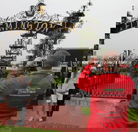 Half-Day Sports Lovers Bus Tour of Melbourne with Tour Options - Australia Accommodation