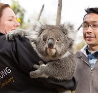Bonorong Wildlife Park and Richmond Afternoon Tour from Hobart - Australia Accommodation