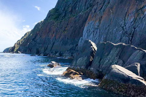 Southern Ocean Adventure From Victor Harbor - Australia Accommodation 3