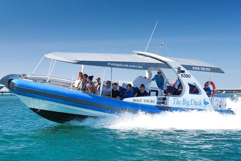 Southern Ocean Adventure From Victor Harbor - Australia Accommodation 5