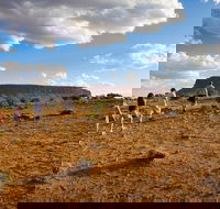 Mount Conner 4WD Small Group Tour from Ayers Rock including Dinner - Australia Accommodation