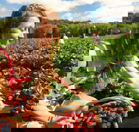 Mornington Peninsula Day Trip from Melbourne - Australia Accommodation