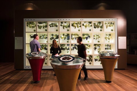 Australian Wine Discovery Tour Ticket - Australia Accommodation 3