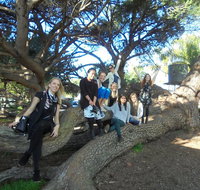 1/2 day Swan Valley Wine Cheese  Chocolate Tour Inc Afternoon Cruise to Perth - Australia Accommodation