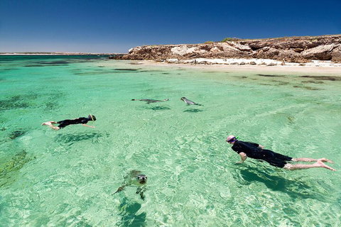 10 Day Adelaide To Perth Private Tour - The Great Australian Wilderness Journey - Australia Accommodation 1