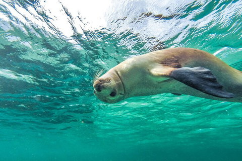 10-Day Adelaide To Perth Adventure Tour - Australia Accommodation 1