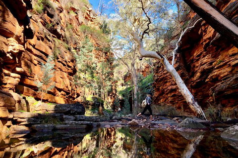 10-Day Adelaide To Perth Adventure Tour - Australia Accommodation 5