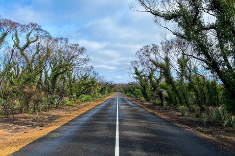2 Day Ultimate Kangaroo Island With Return Ferry - Australia Accommodation 4