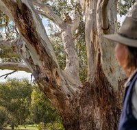 NEW TOUR - Kangaroo Island Road to Recovery Tour 1 Day/1 Night - Australia Accommodation