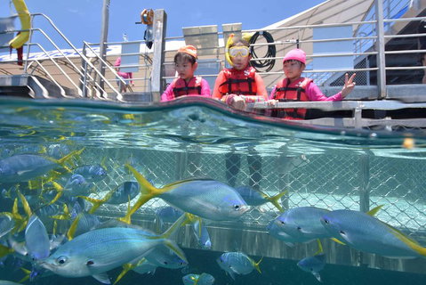 Outer Reef Pontoon Experience From Cairns - Australia Accommodation 0