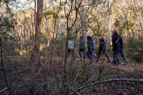 Wild Australian Wildlife 4WD Tour From Sydney - Australia Accommodation 0
