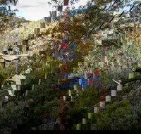 Hollybank Wilderness Adventure - Zipline Tours - Australia Accommodation