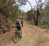 Mount Lofty Descent Bike Tour from Adelaide - Australia Accommodation